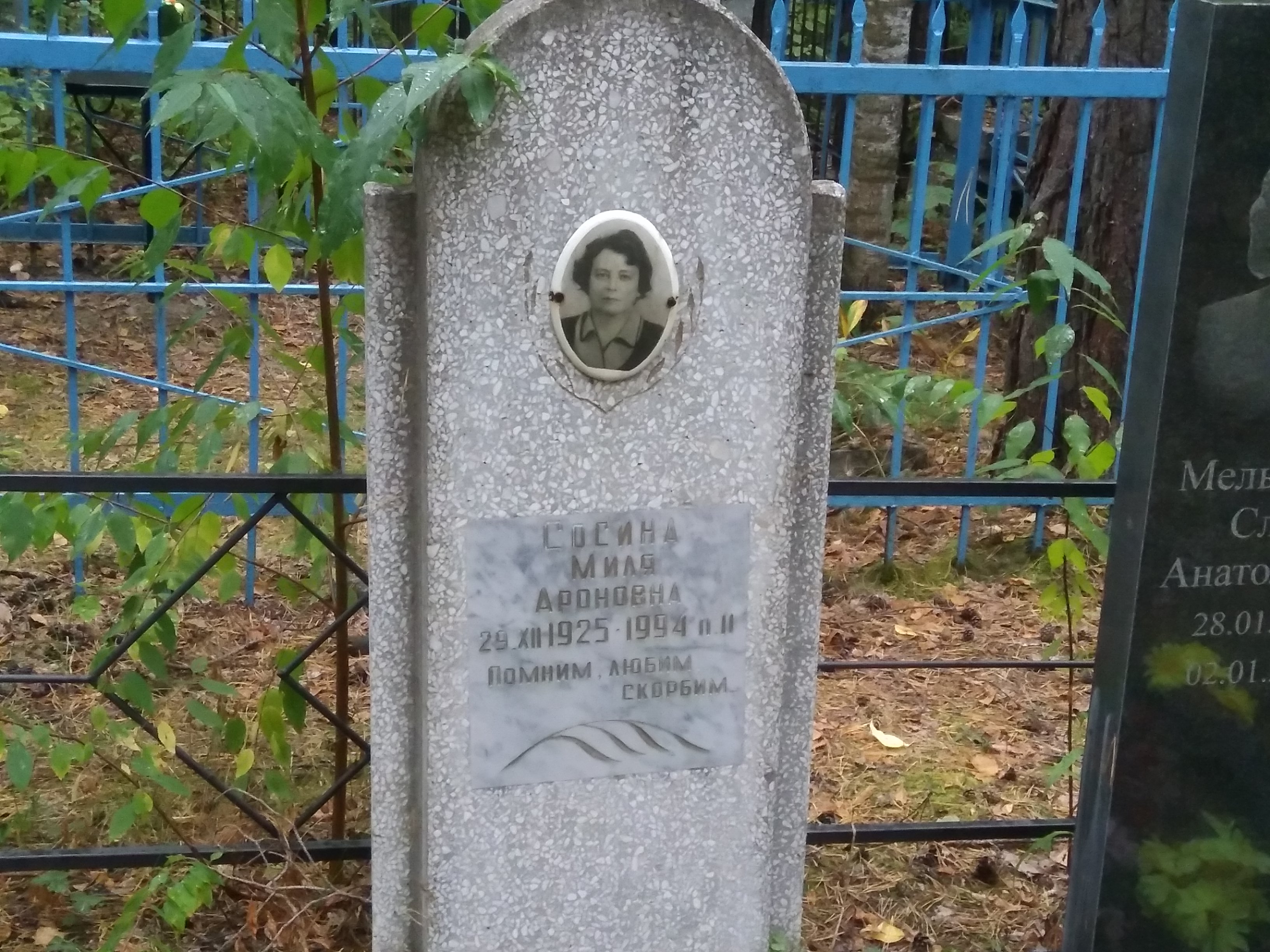 Сосина Миля Ароновна