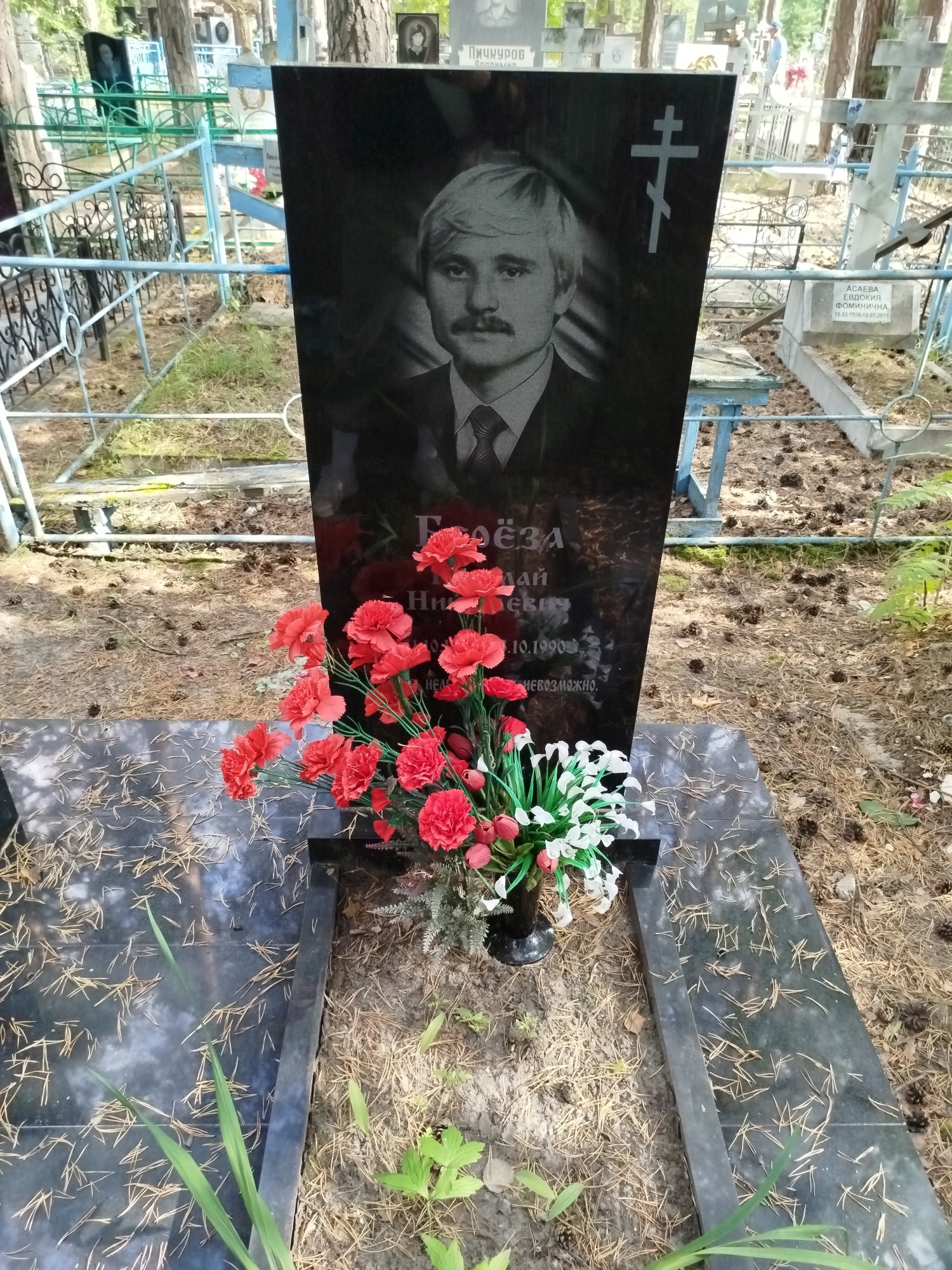 Берёза Николай Николаевич