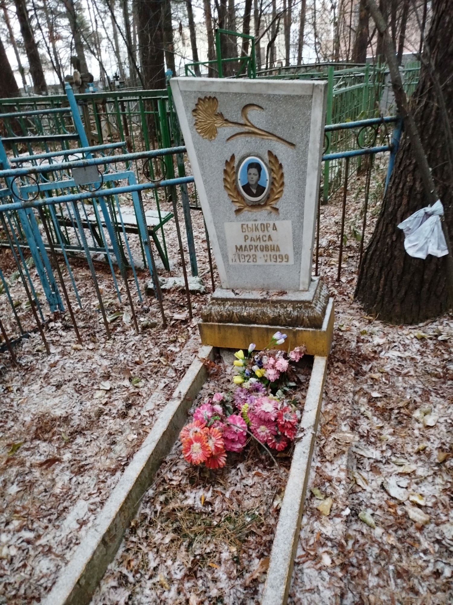 Быкова Раиса Марковна
