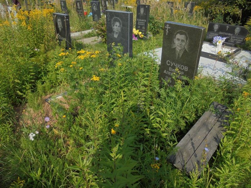 Сучков Виктор Алексеевич