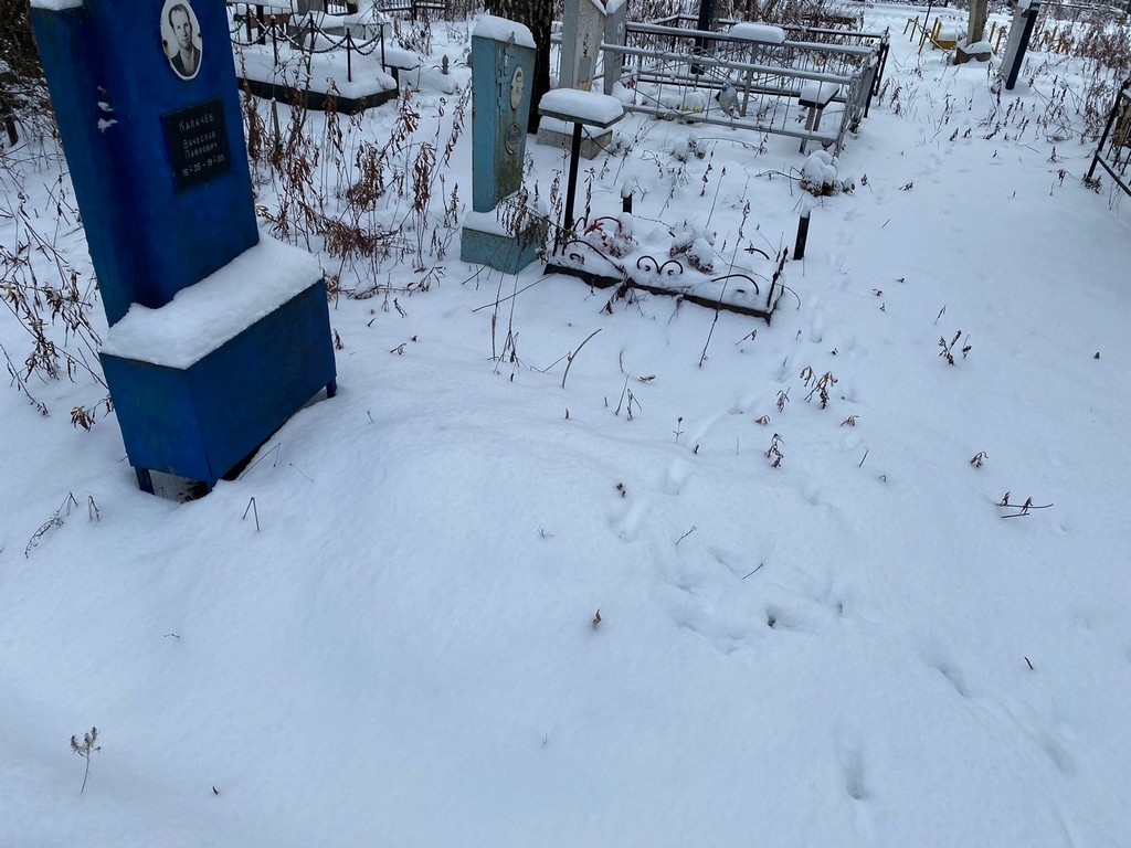 Калачев Вячеслав Павлович