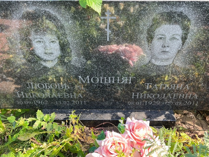 Мошняг