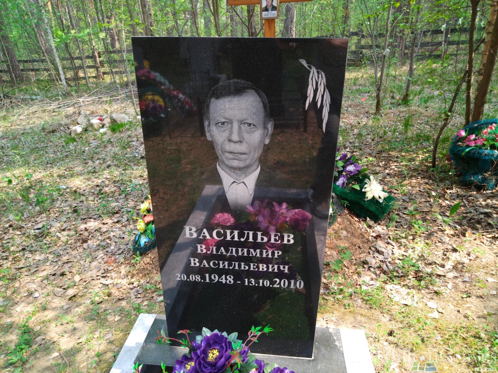 Васильев Владимир Васильевич