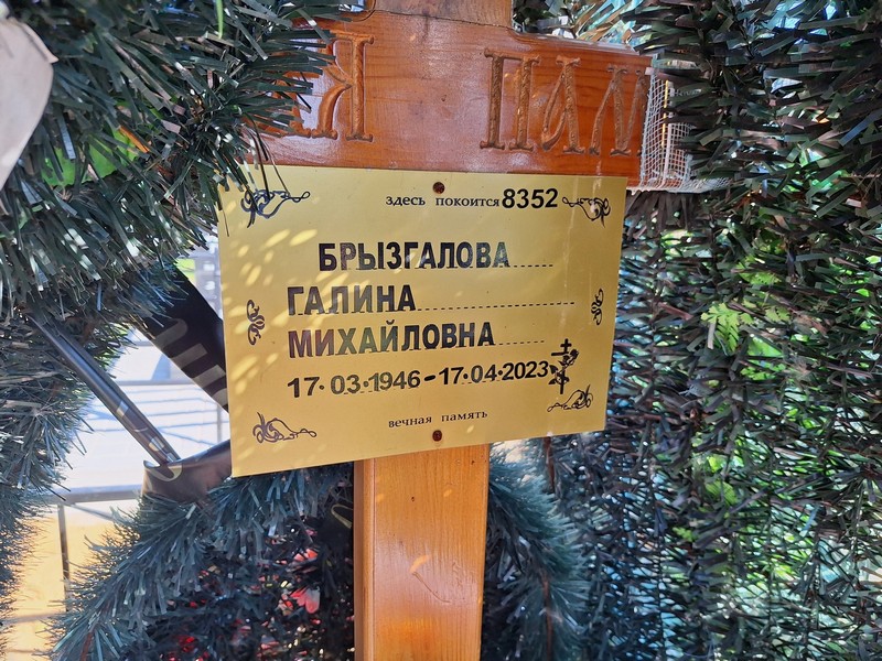 Брызгалова
