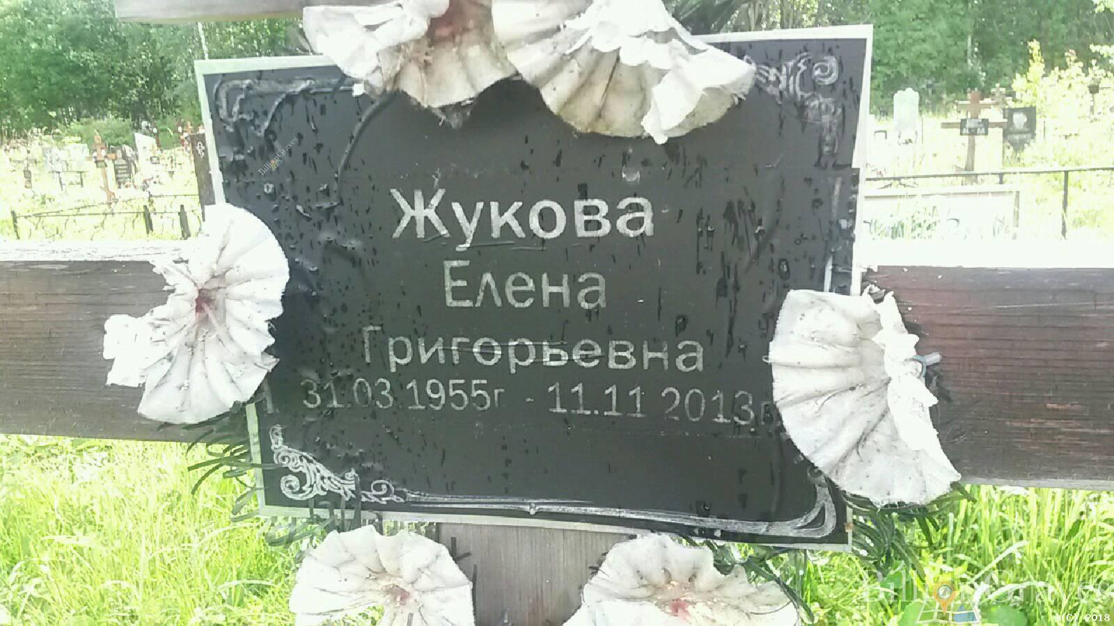 Жукова Елена Григорьевна