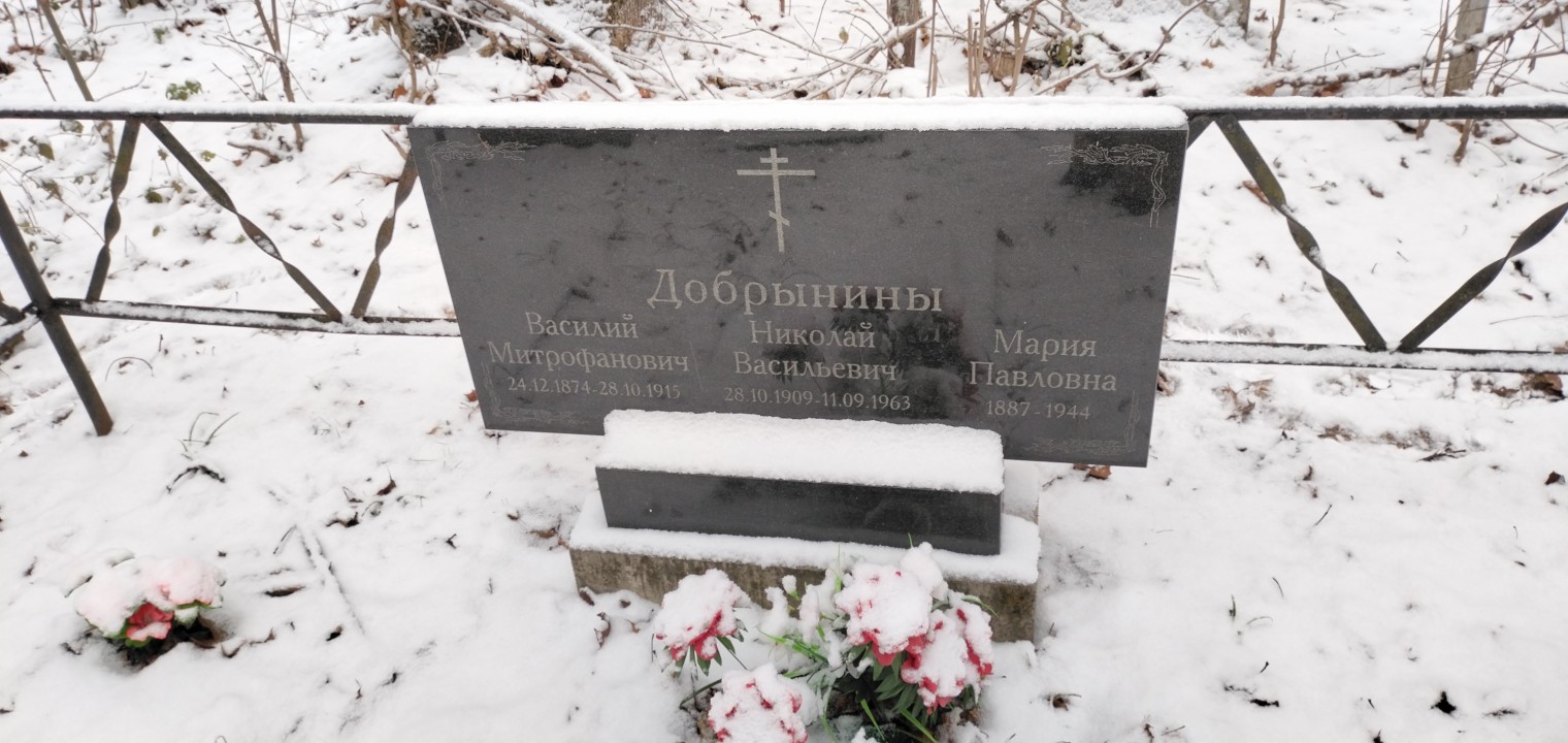 Добрынин Николай Васильевич