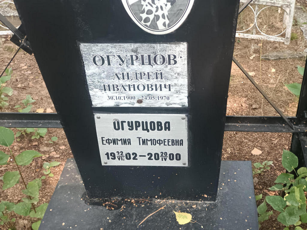 Огурцов Андрей Иванович