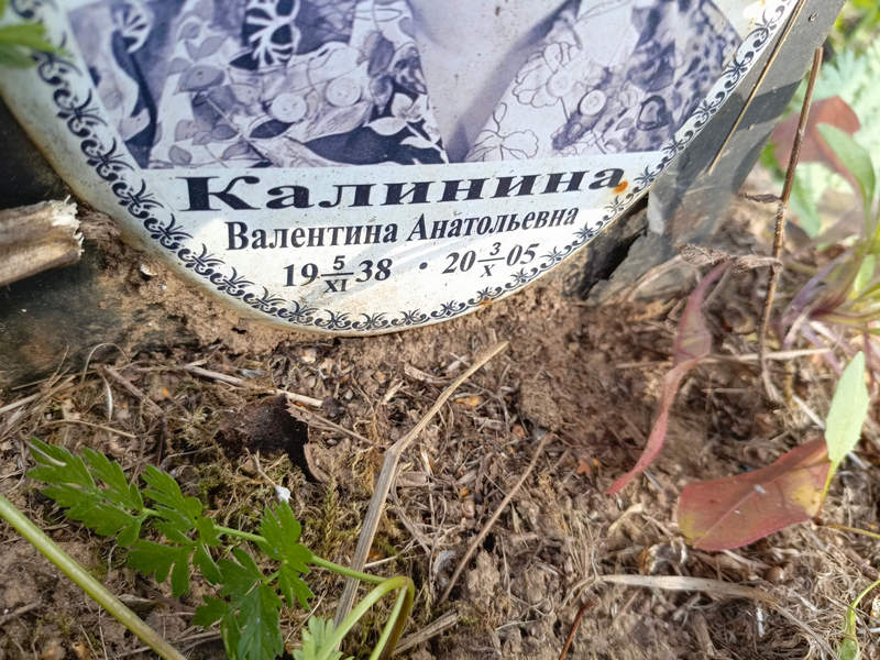 Калинина