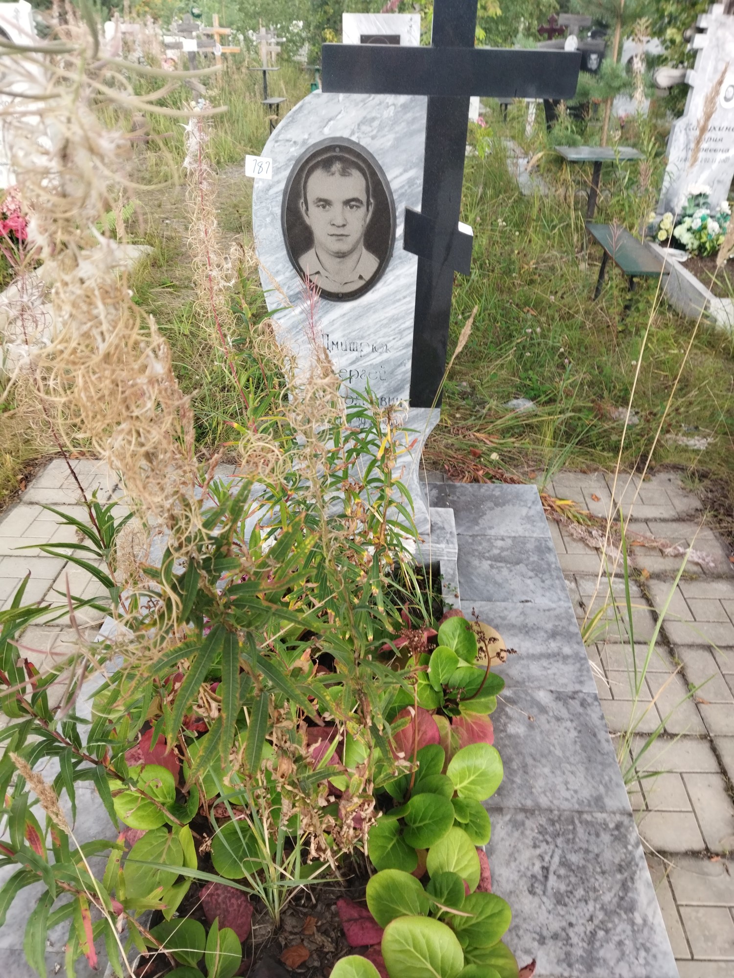 Дмитрюк Сергей Анатольевич
