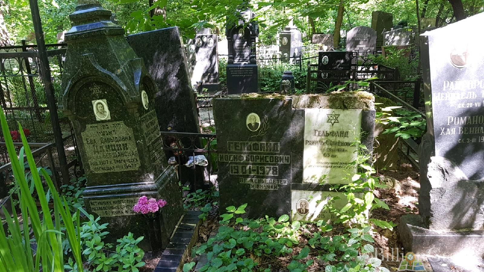 Данцин Ева Давыдовна