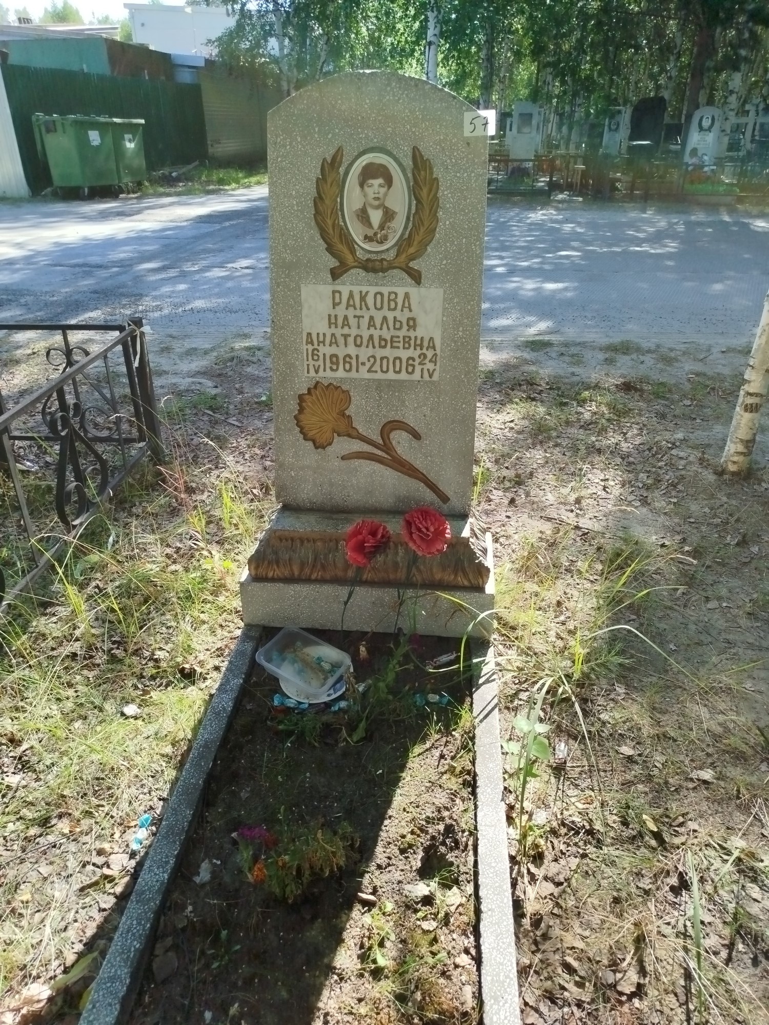 Ракова Наталья Анатольевна