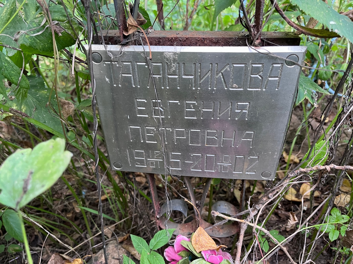 Таганчикова Евгения Петровна