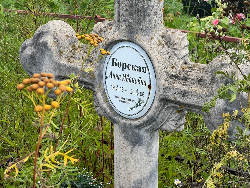 Борская