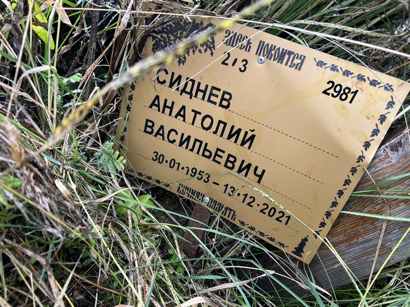 Сиднев