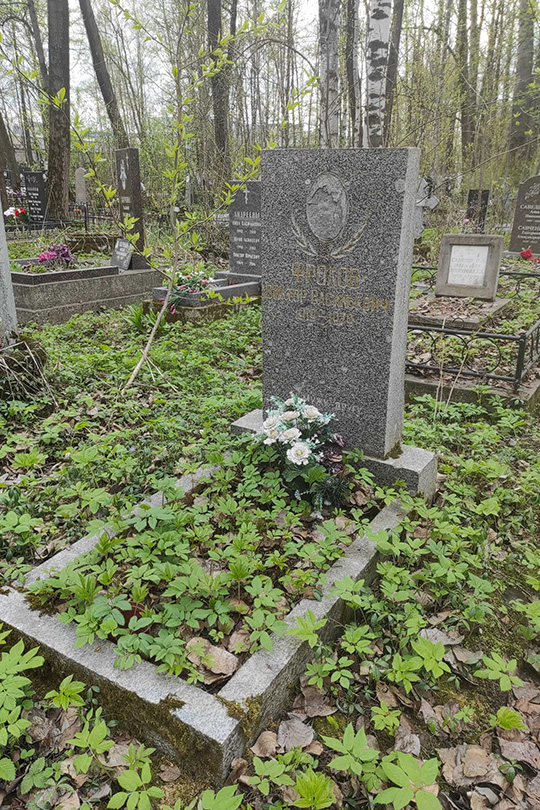 Фролов Виктор Васильевич