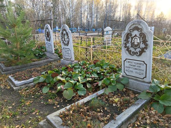 Гиматудинов Минигали Тазутдинович