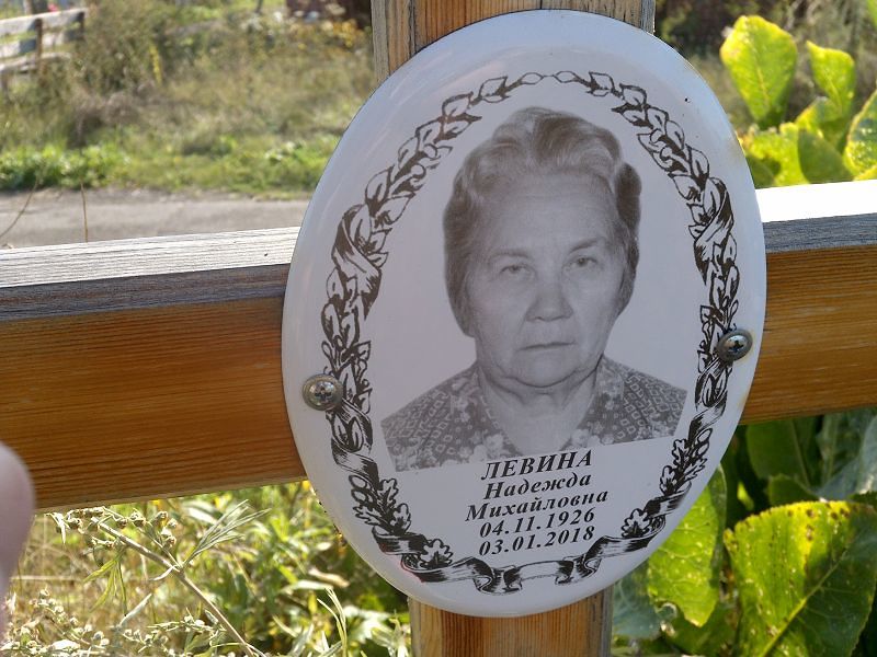Левина