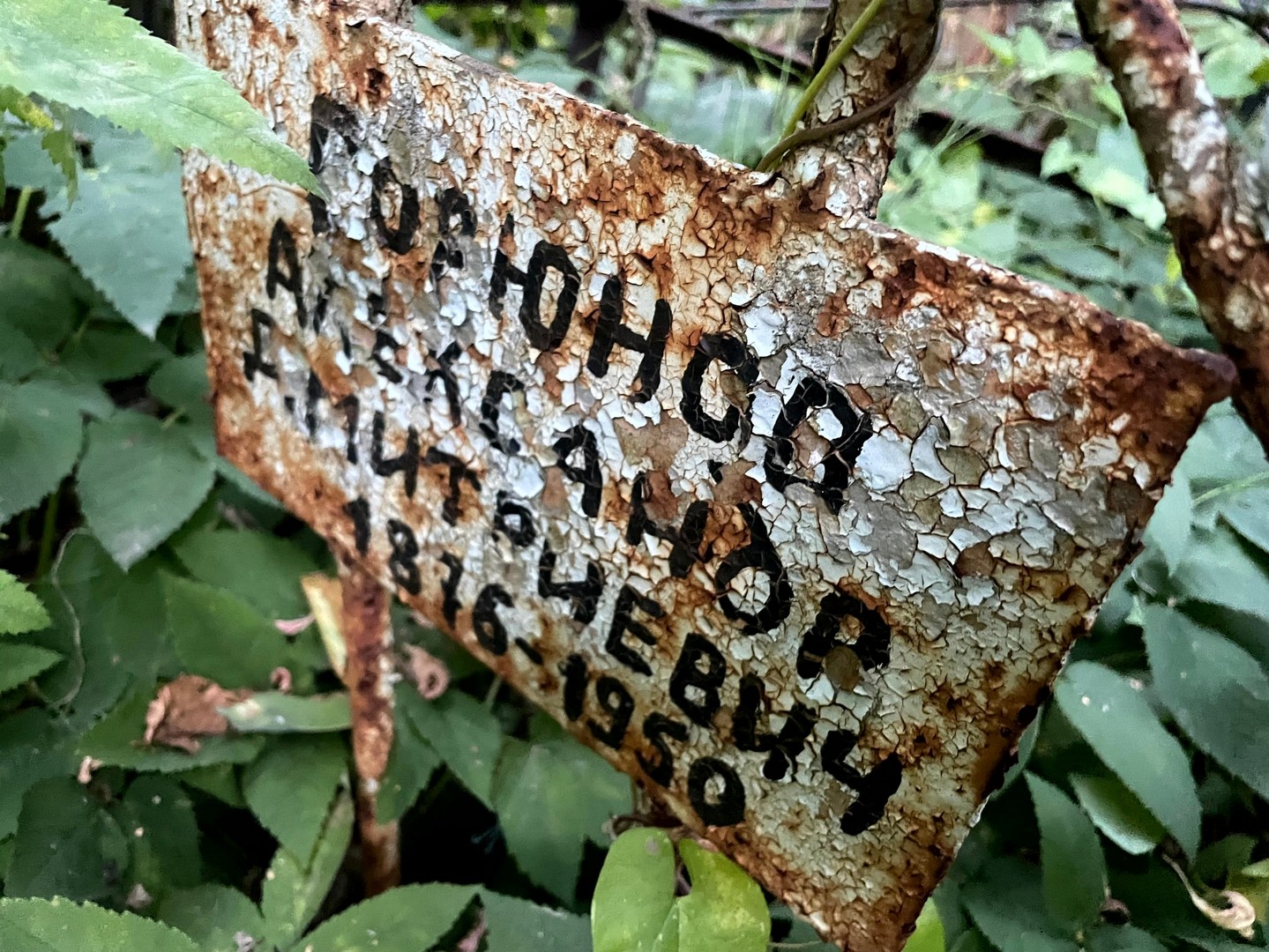 Горюнов
