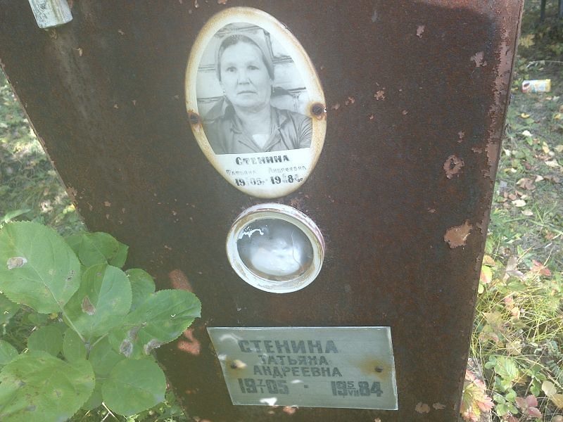 Стенина