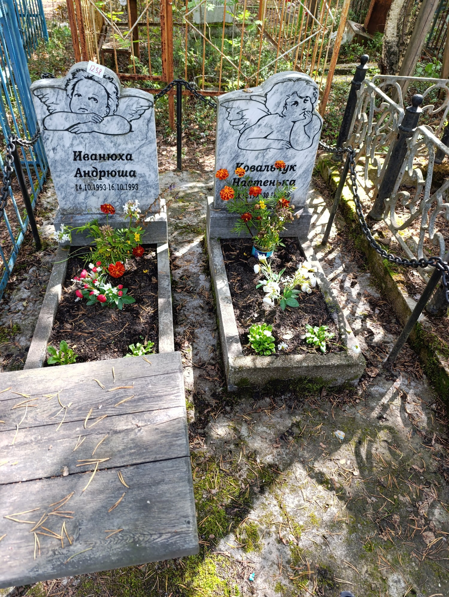 Иванюха Андрей