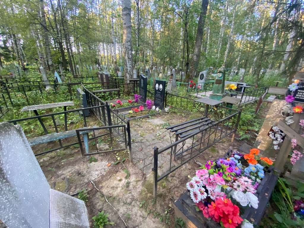 Шамаев Владимир Александрович