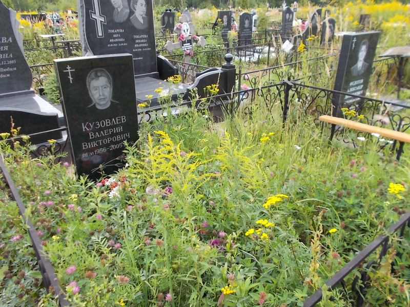 Кузовлев Валерий Викторович