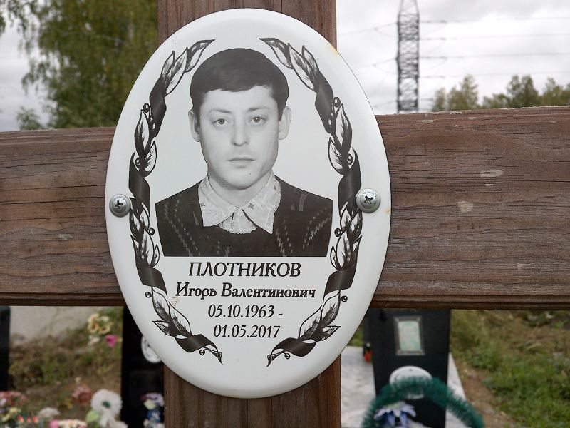 Плотников