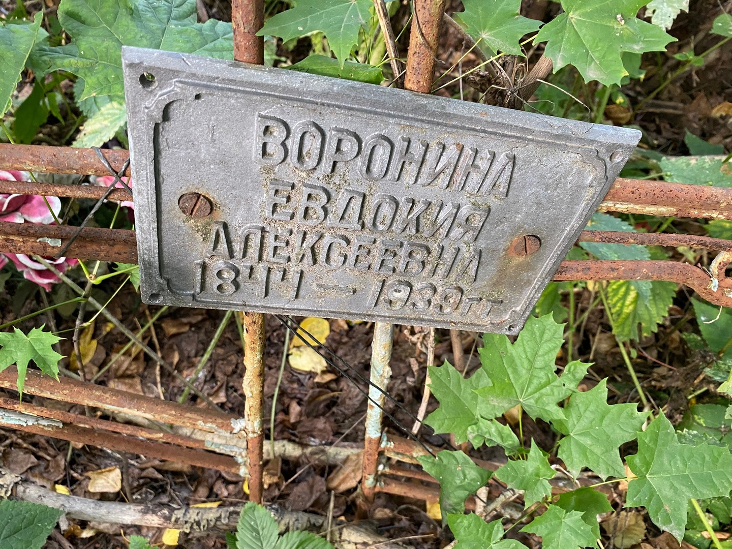 Воронина