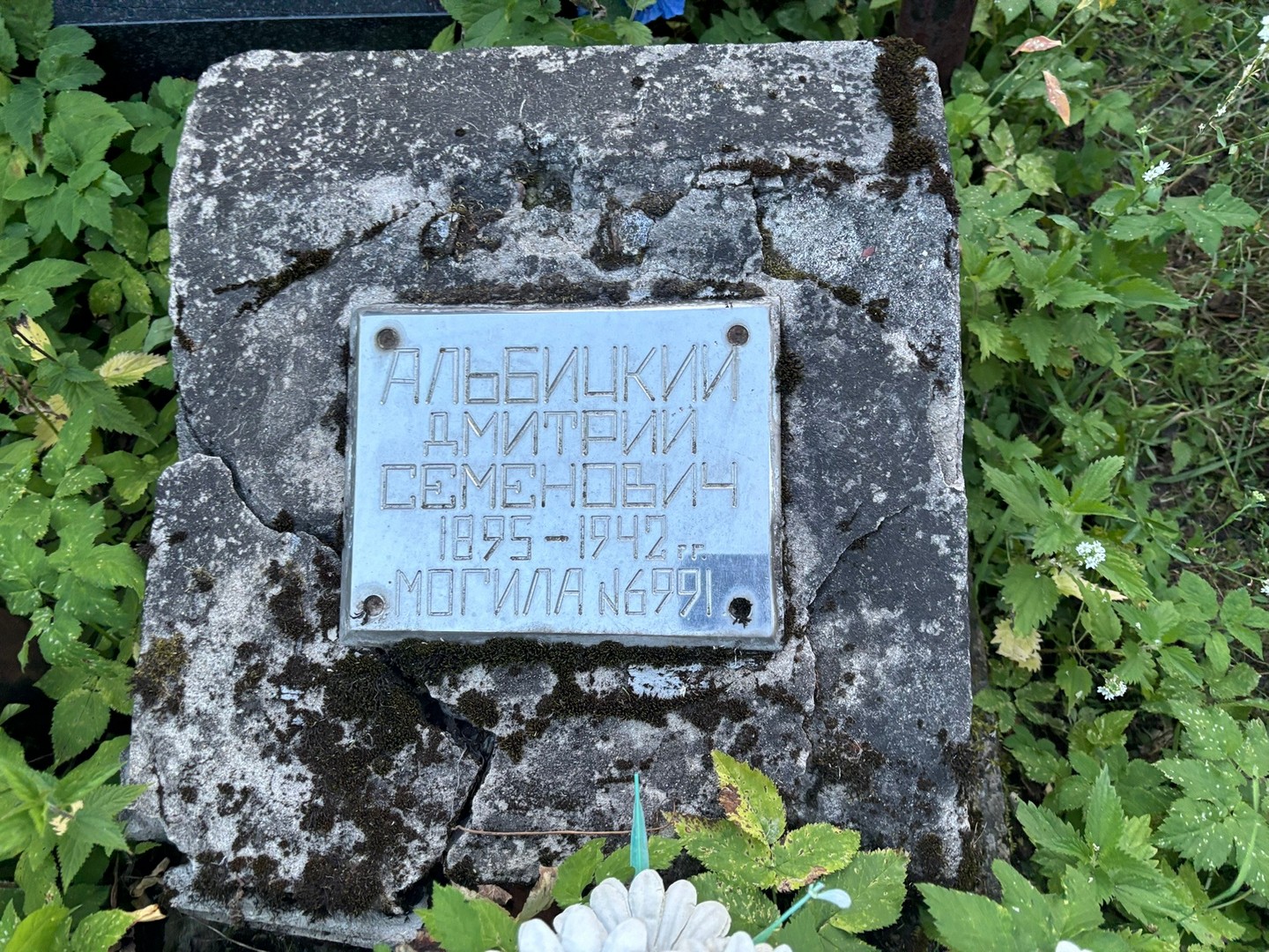 Альбицкий