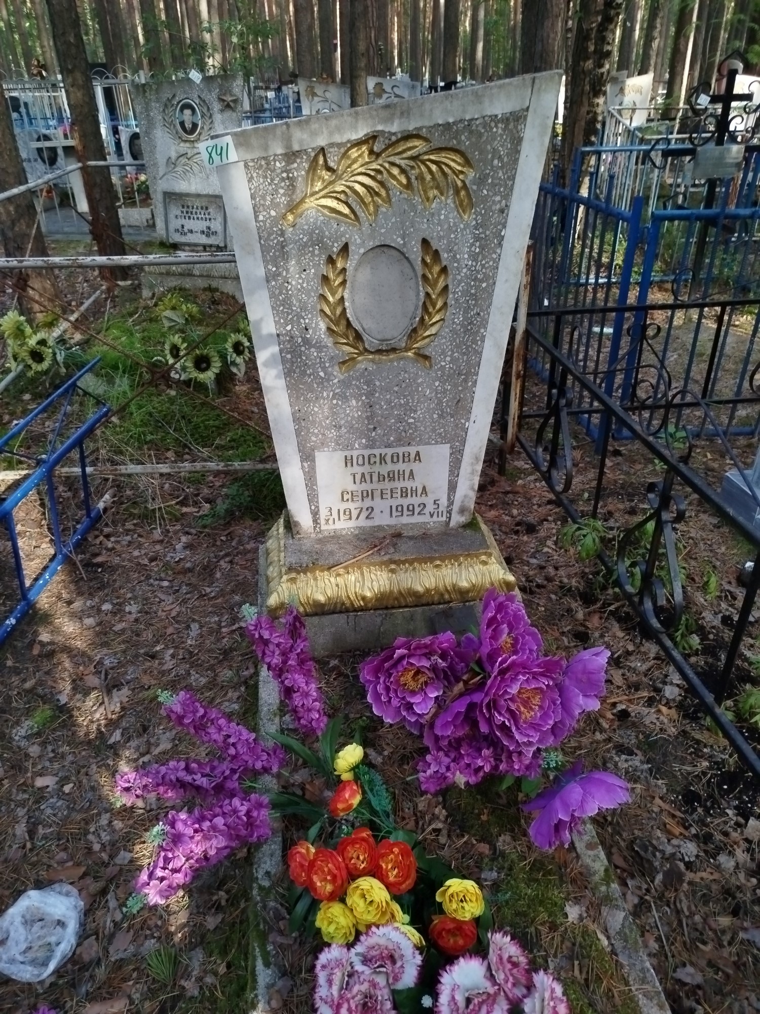 Носкова Татьяна Сергеевна