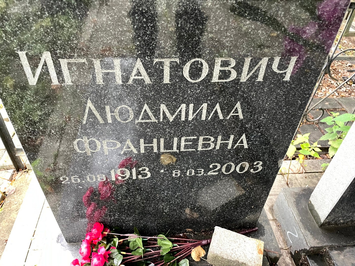 Игнатович
