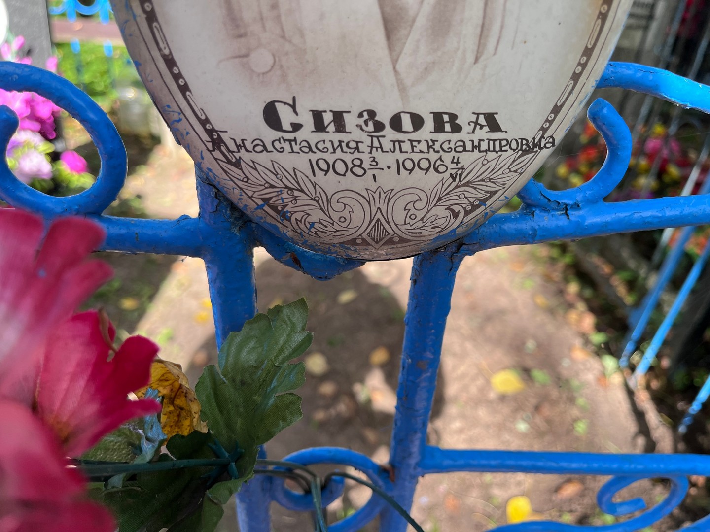 Сизова Анастасия Александровна