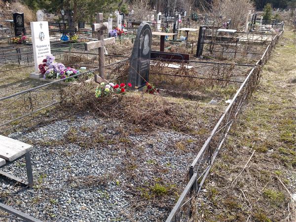 Николаенко Евгений Леонидович