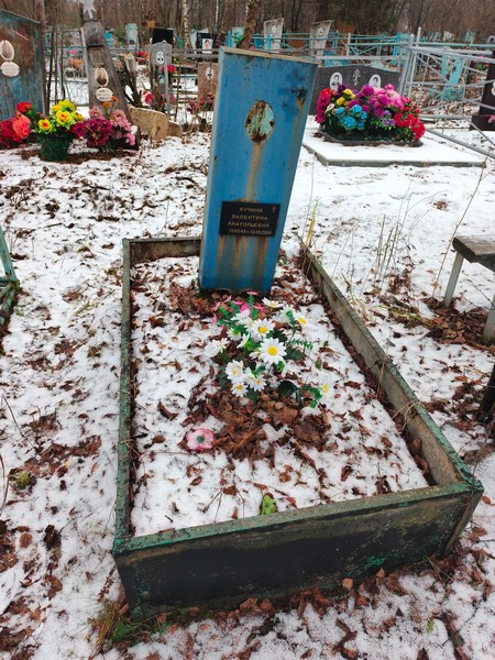 Кучина Валентина Анатольевна