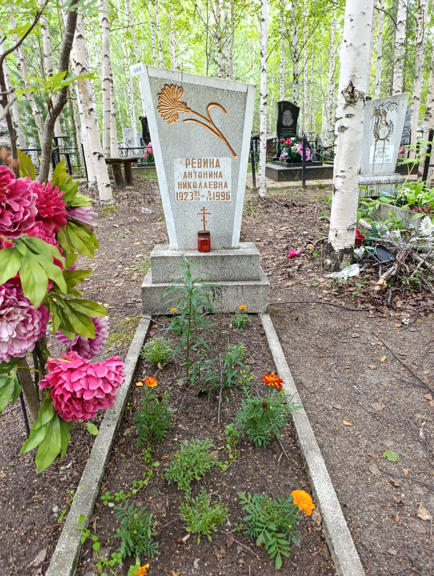 Ревина Антонина Николаевна