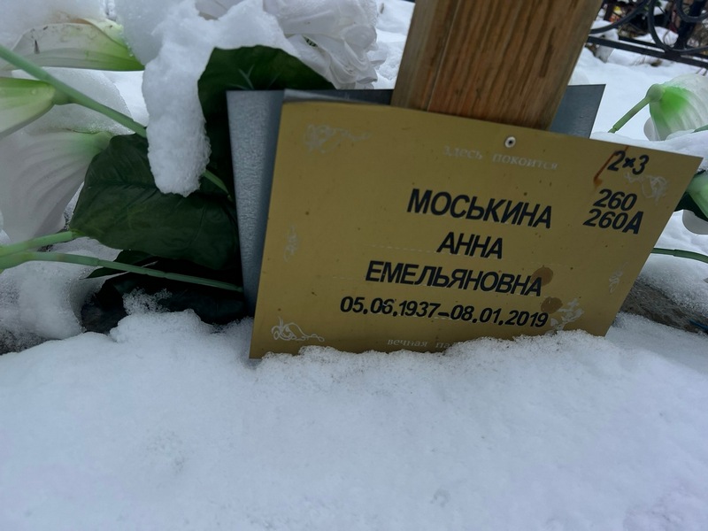 Моськина