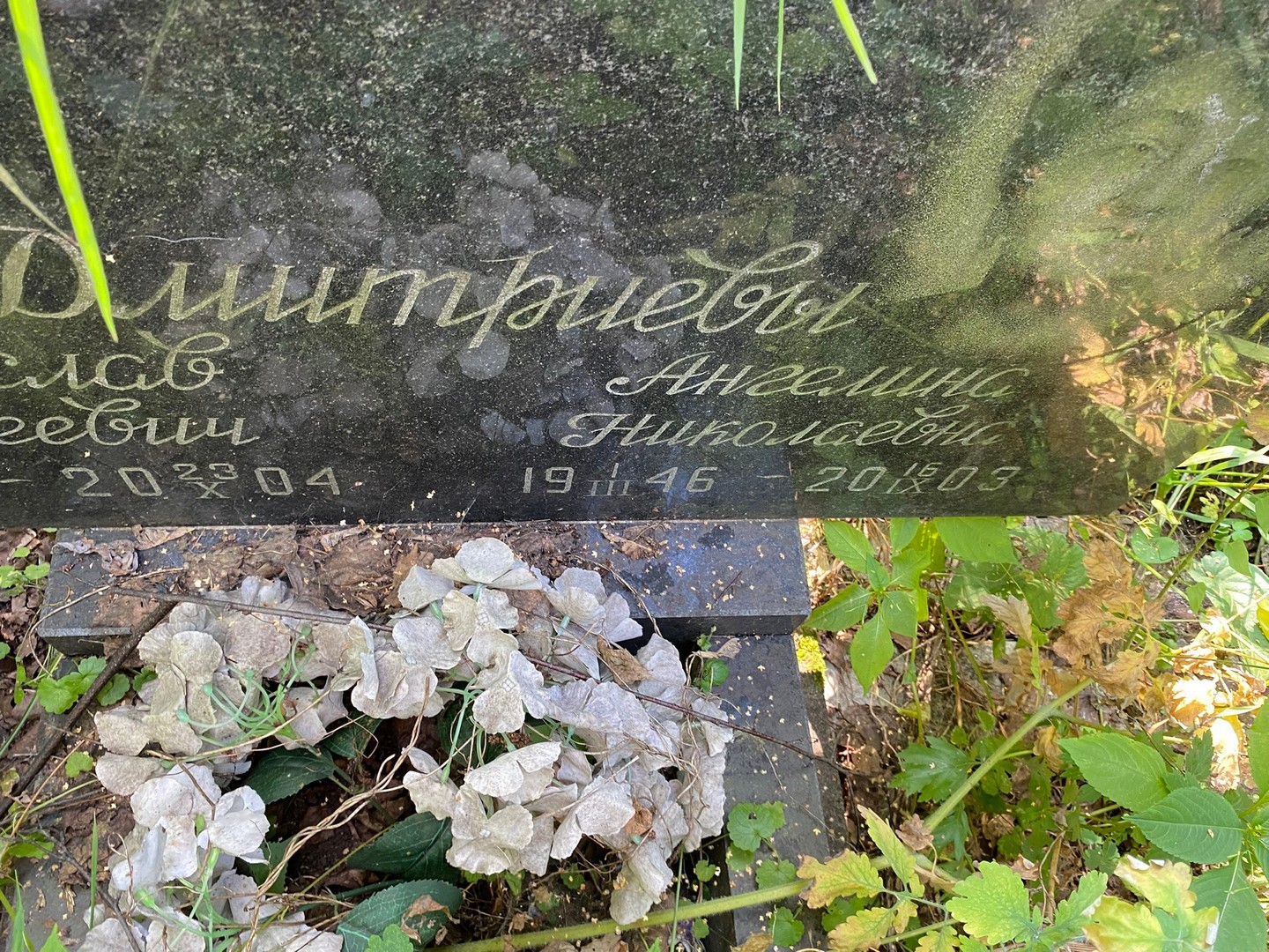 Ангелина Дмитриева Николаевна