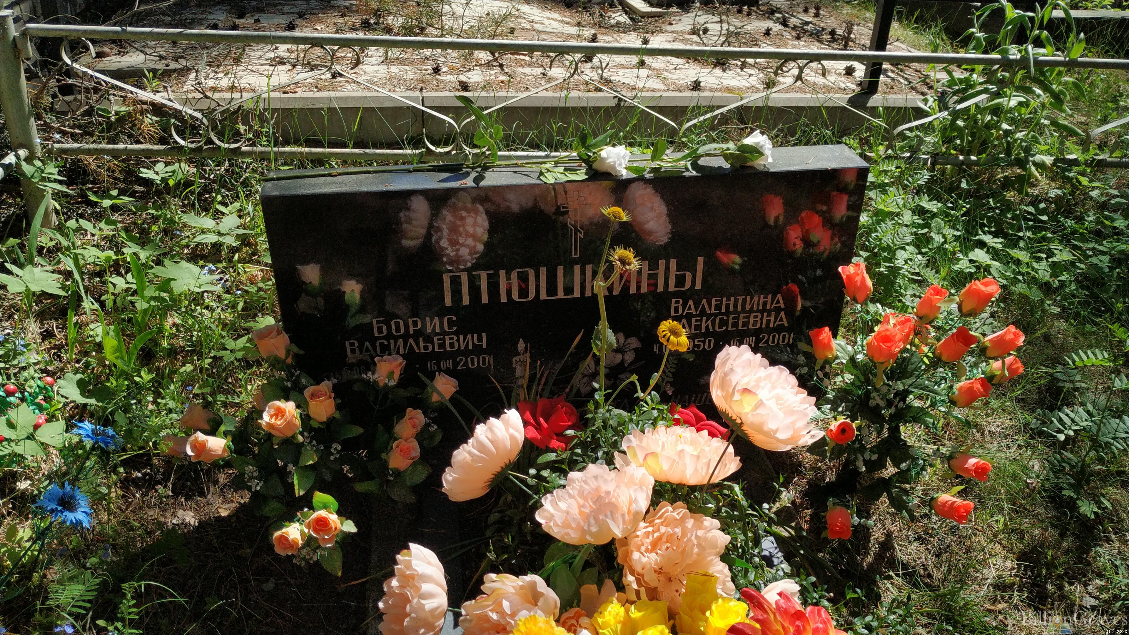 Птюшкина Валентина Алексеевна