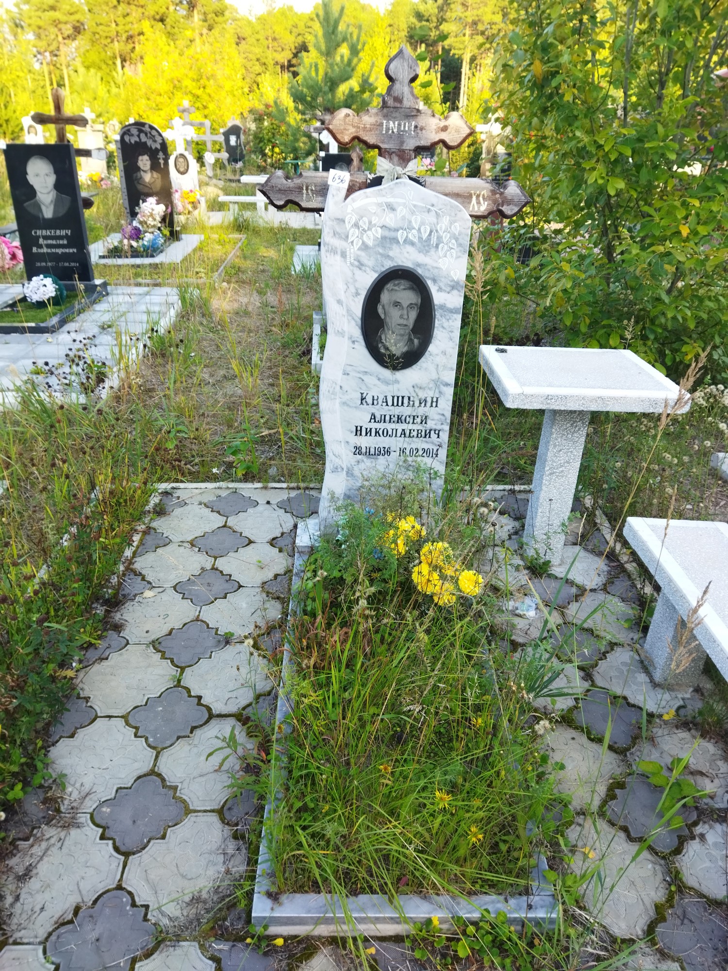 Квашнин Алексей Николаевич