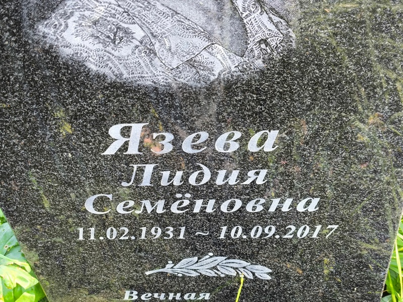 Язева