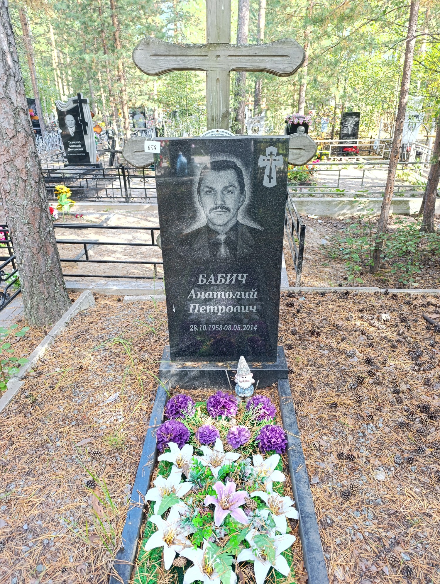 Бабич Анатолий Петрович