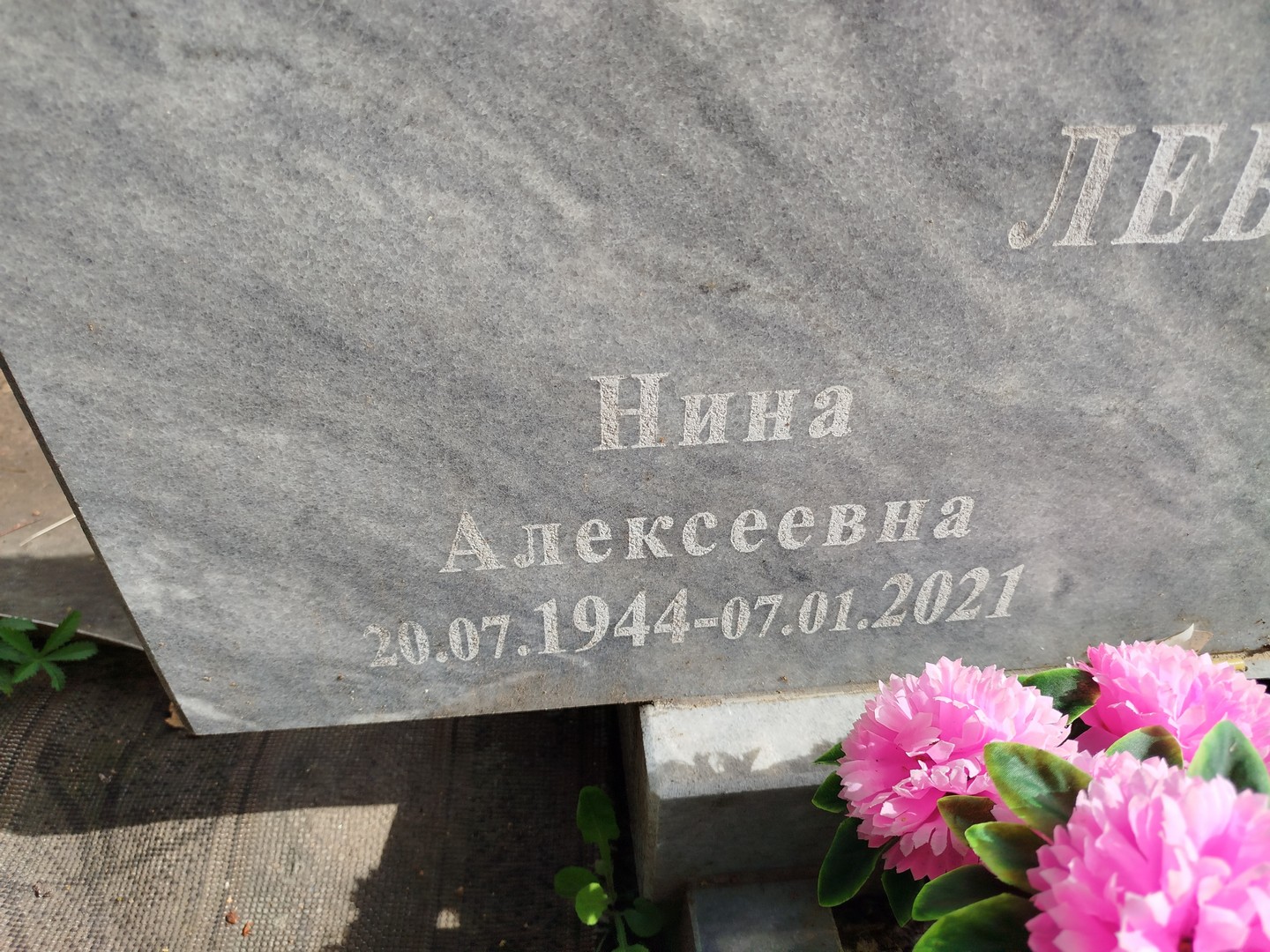 Лебедева