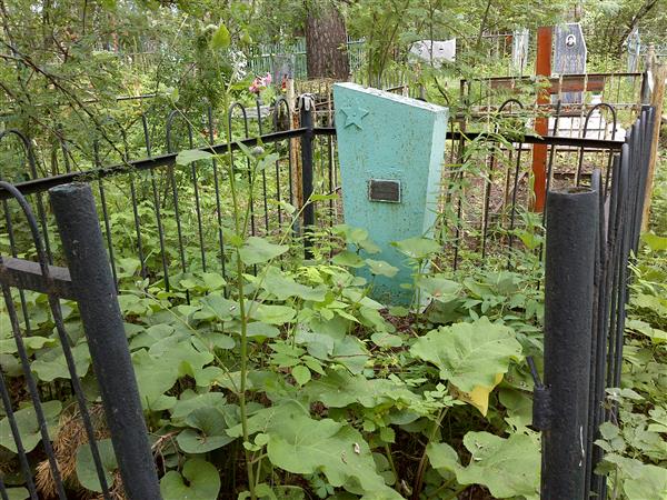 Самсонова Ирина Васильевна