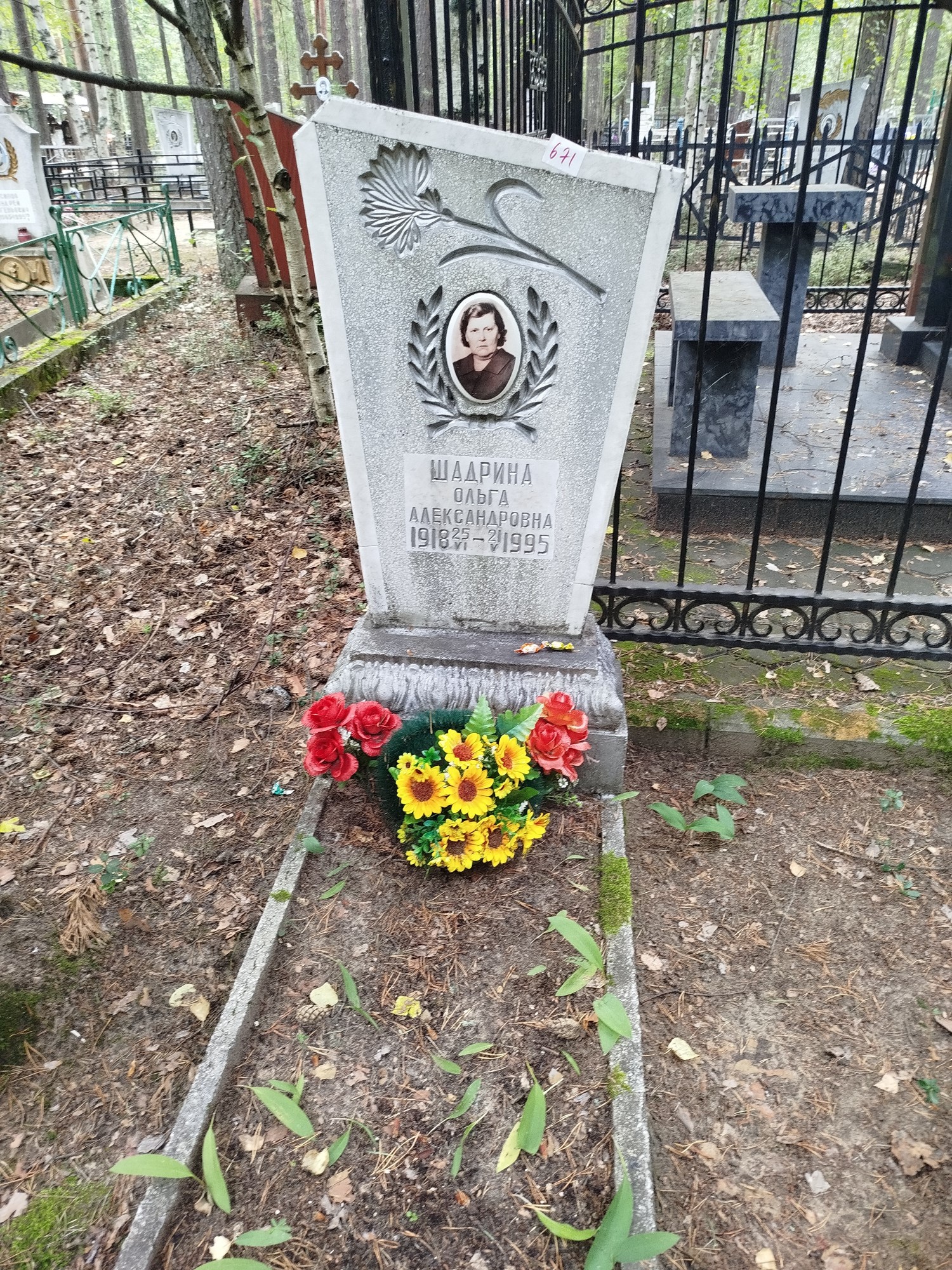 Шадрина Ольга Александровна