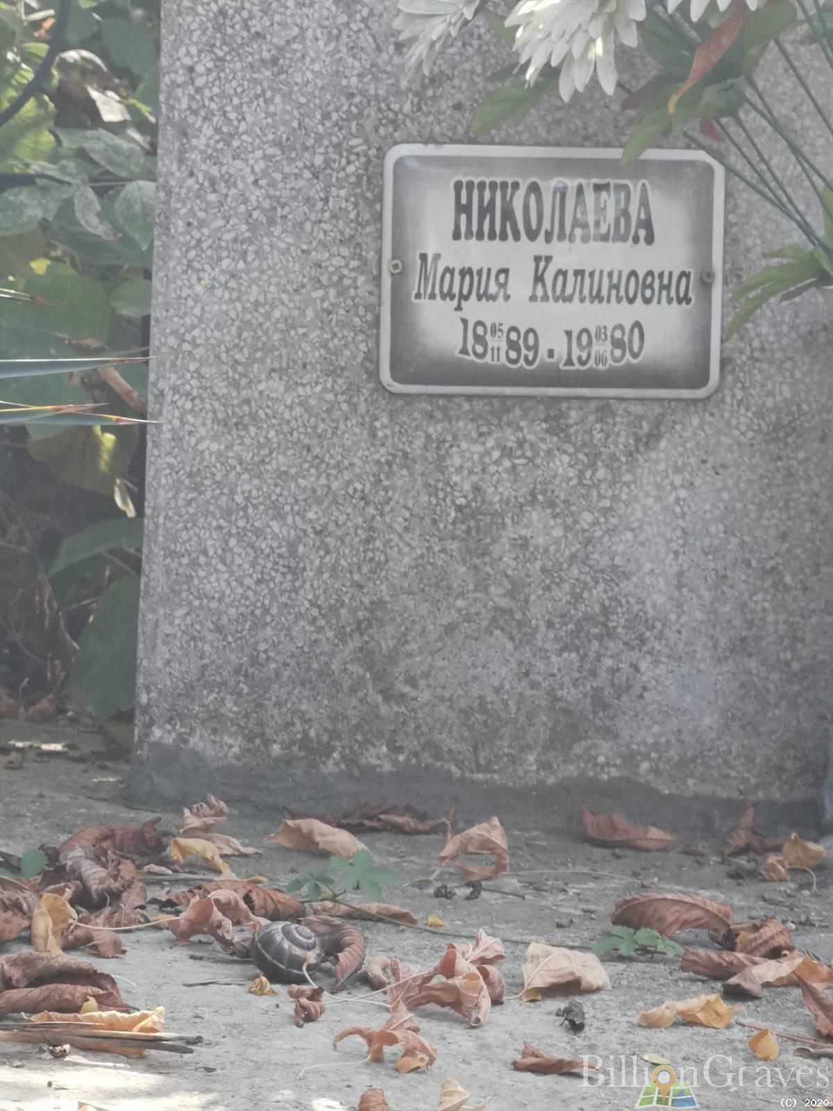 Николаева Мария Калиновна