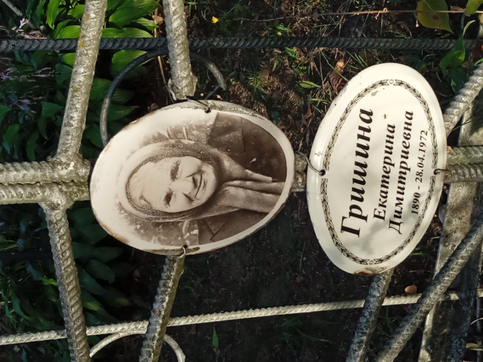 Гришина Екатерина Димитриевна