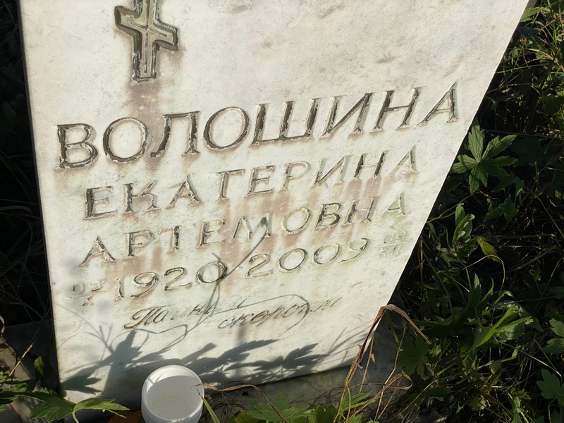 Волошина