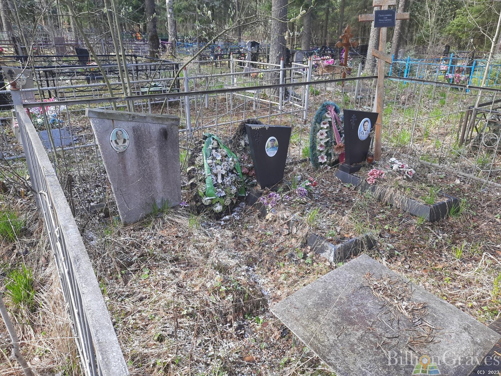 Голоушин Александр Андреевич
