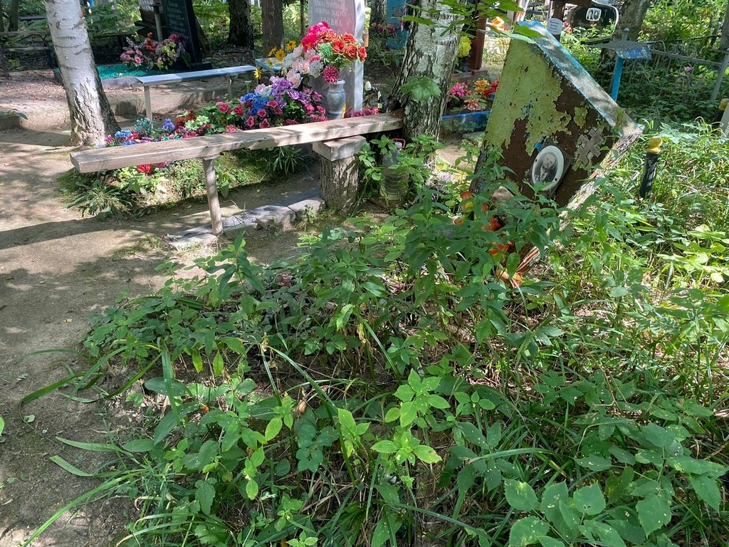 Болтинцев Петр Иванович