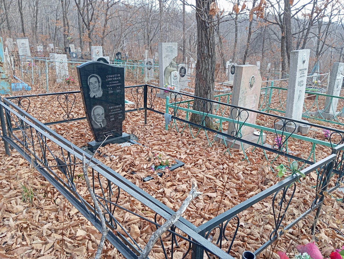 Сокотун Лисовая Устинья